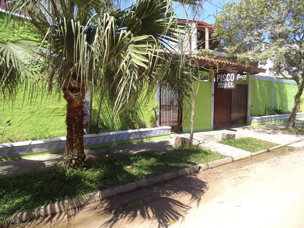 Pisco 3*